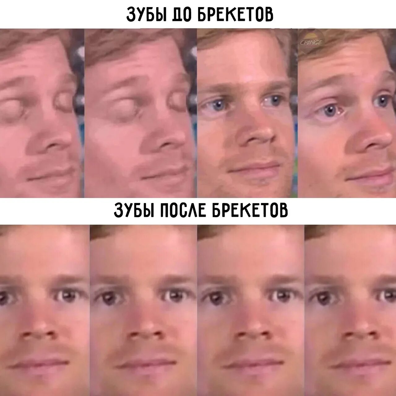 Лучший мем 2025 тест. Популярные мемы. самые популярные мемы. мемы про новый год 2025.
