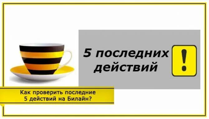 Последние 5 списаний билайн. Билайн последние 5 списаний. билайн последние списания. билайн последние списания команда. последние 5 платных действий билайн.