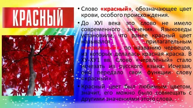 Значение слова красный. Поговорки со словом красный. Информация о Красном цвете. Что означает красный цвет в любви. Слова обозначающие красный цвет.