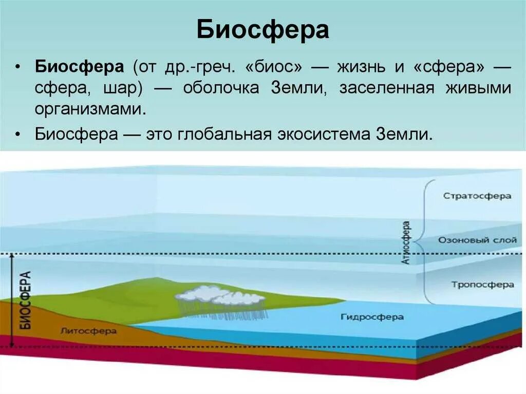 Биосфера. Биосфера земли. Биосфера оболочка жизни. Биосфера картинки. 2 биосфера включает