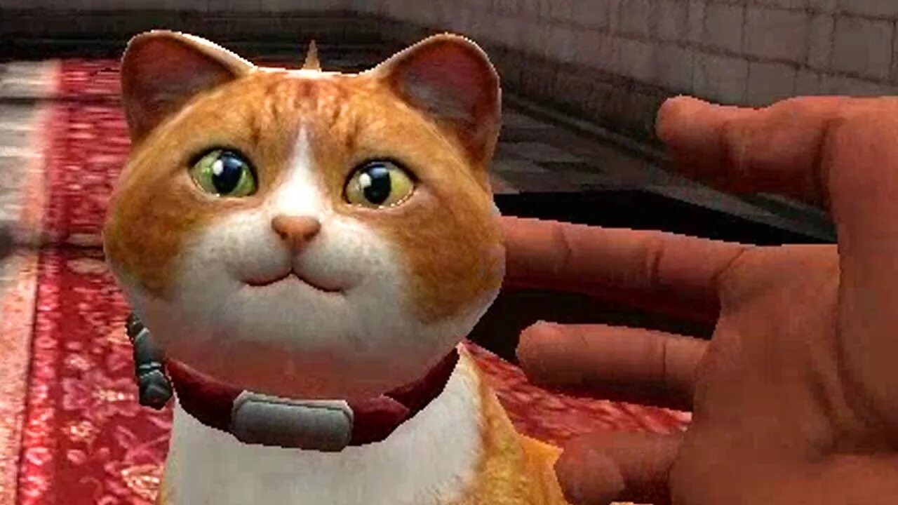 Garry s mod cat. Gmod cat. кот гаррис мод. кошка из гаррис мод. maxwell cat gmod.