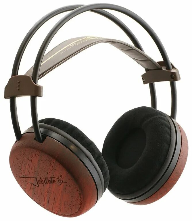 наушники fischer audio fa-011. наушники fischer audio fa-501. Fischer audio наушники большие fa-005. наушники фишер fa-004. наушники fischer audio fa-788.