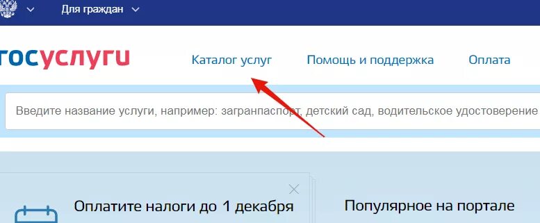 Изменение оквэд ип в личном кабинете. ОКВЭД через госуслуги. Подтверждение ОКВЭД через госуслуги. Добавить ОКВЭД для ООО через госуслуги. Добавление ОКВЭД для ИП через госуслуги.