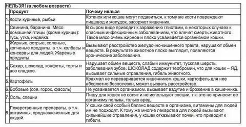 Меню котятам 2 месяца