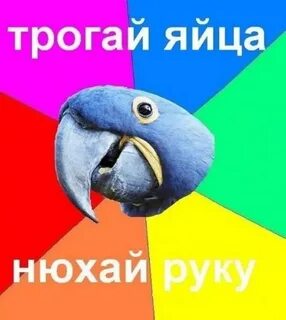 Трогает яички