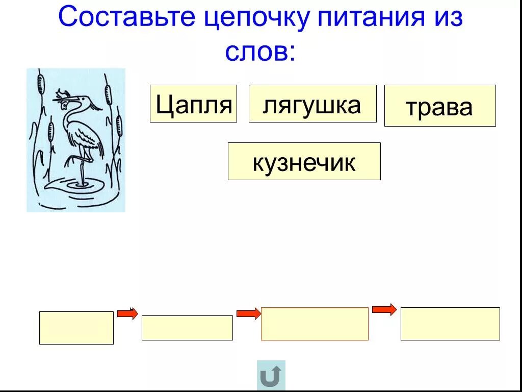 Найдите ошибки в тексте пищевые цепи. Цепи питания. Составь цепь питания. Цепи питания задания. Пищевая цепь 2 класс задание.