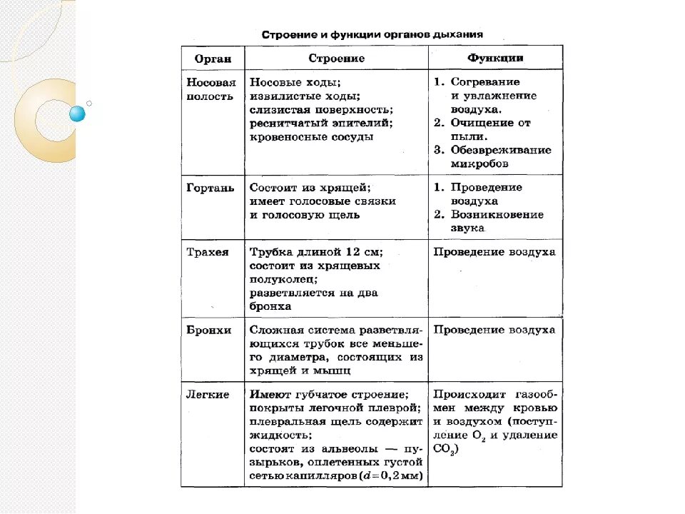 Системы человека таблица. Таблица по биологии 8 класс системы органов органы функции системы. Таблица по биологии строение органов дыхания и их функции 8 класс. Таблица по биологии 8 класс орган строение функции. Таблица по биологии органы дыхания строение функции.