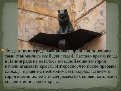 Как кошки спасли ленинград