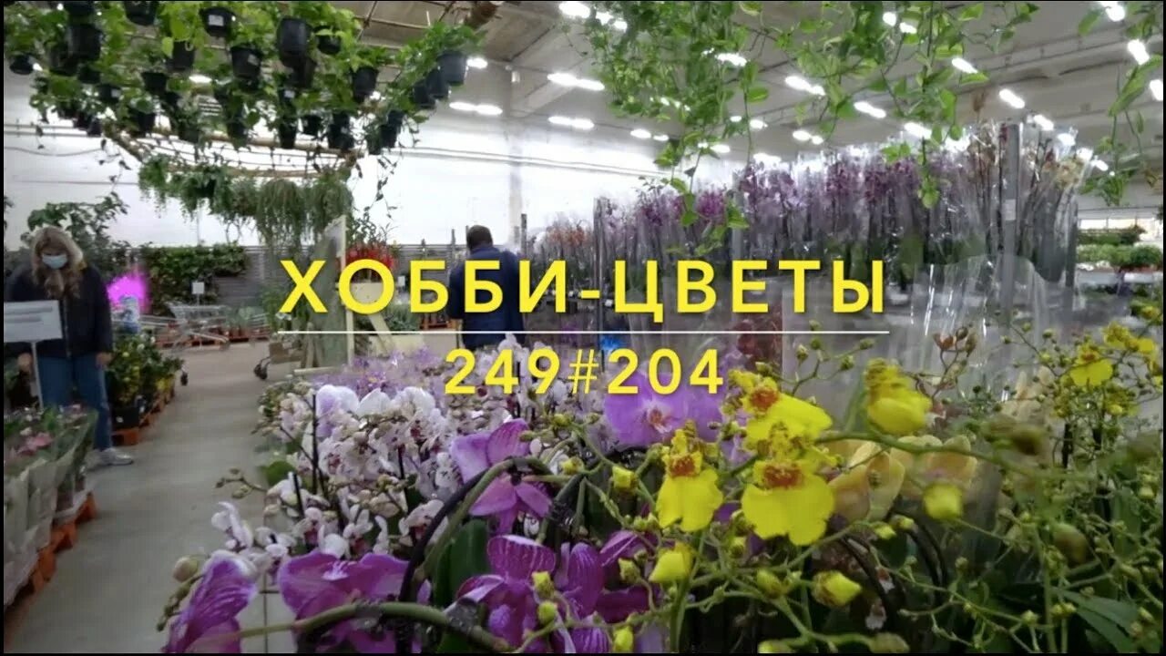 Флорэвиль москва. Флоревиль орхидеи. Ступинский проезд цветы Флоревиль. Флоревиль цветочный магазин. Флоревиль орхидеи магазин.