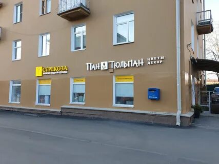 Петрозаводск адрес телефон