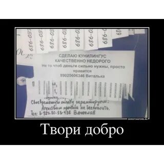 питница, день......9й)))) - обсуждение на форуме e1.ru - страница 10