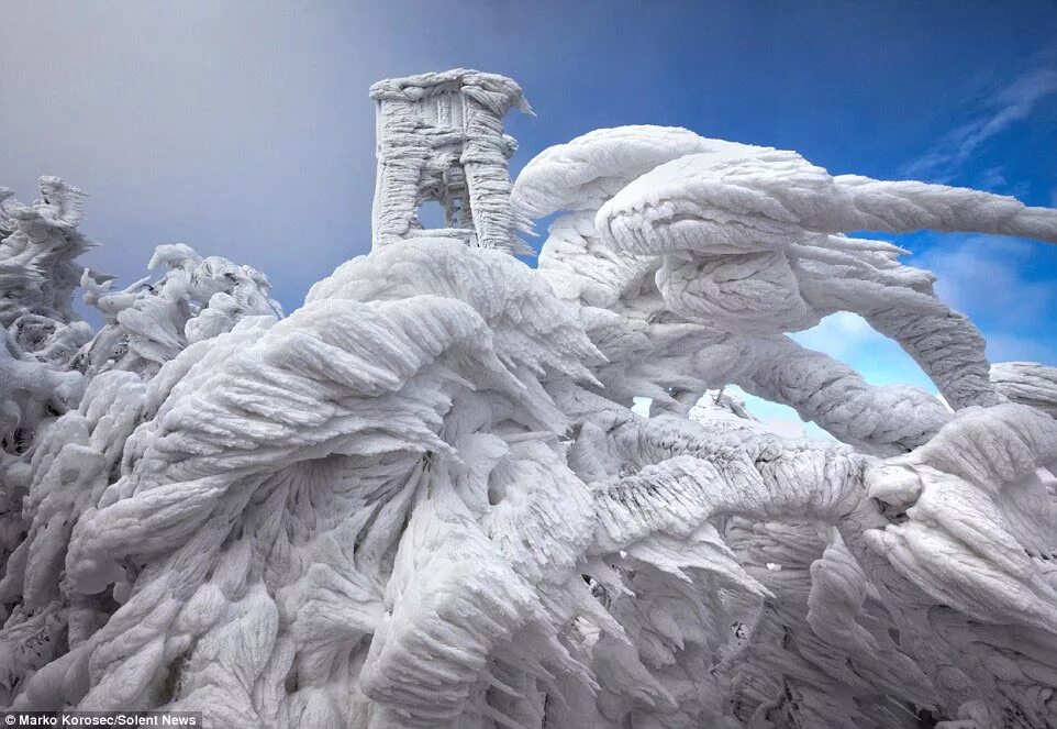 Ледяной шторм в китае. Ледяные образования на вершине горы в Словении. Ледяные скульптуры. Необычные фотографии. Шедевры природы.
