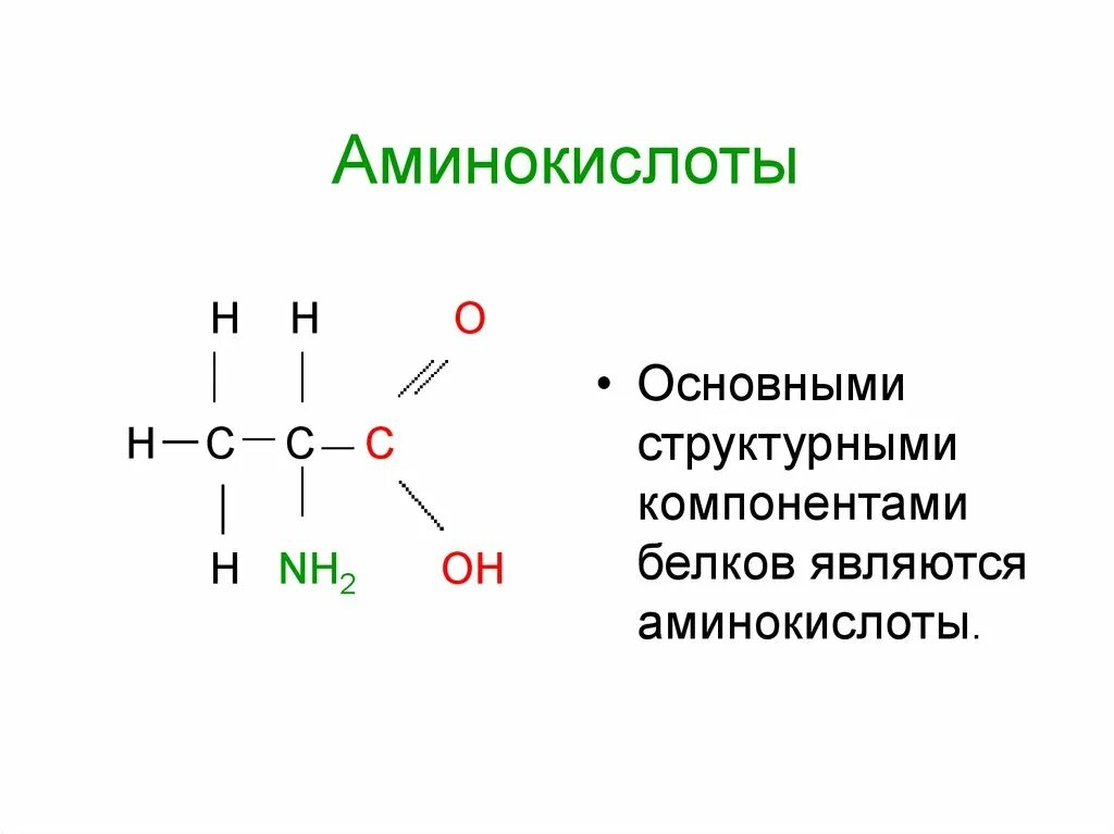 Белковый элемент. Аминокислоты структурные компоненты белков. Основные структурные компоненты аминокислоты. Структура компонента белка. Первичными являются Амины.