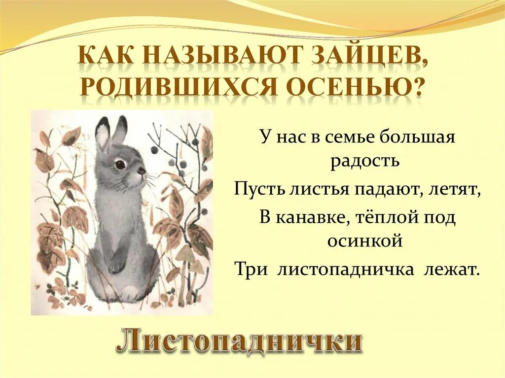 Рассказ приключения листопадничка придумать. Листопадничек Соколов-Микитов 3. Листопадничек Соколов-Микитов план 3. Соколов-Микитов, сказка "Листопадничек".