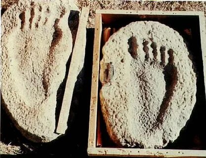 Каменный щит с отпечатками