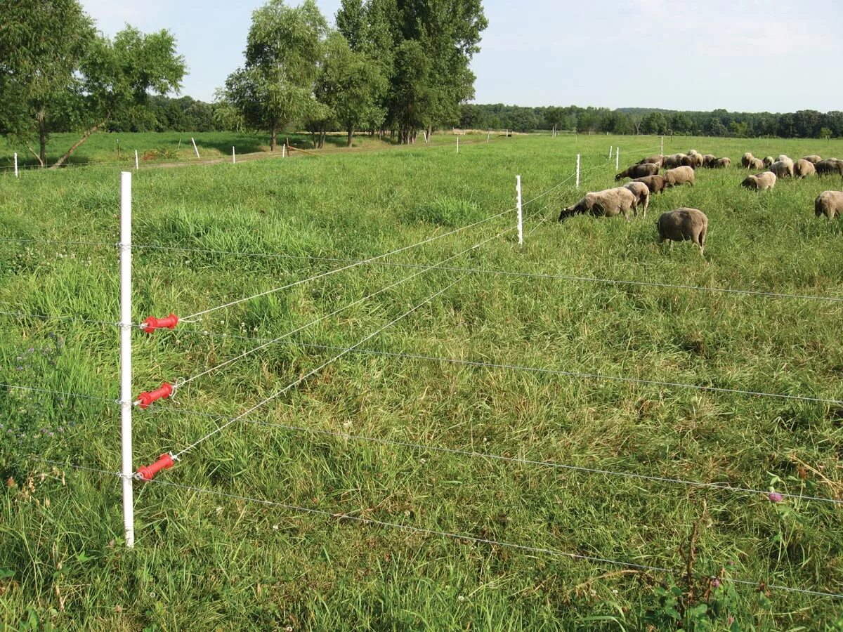 Электрон пастух для крс. Электрический скот. Farming an5000 электропастух. Схема подключения электропастух для крс. Электропастух для молочных крс на 1 га.