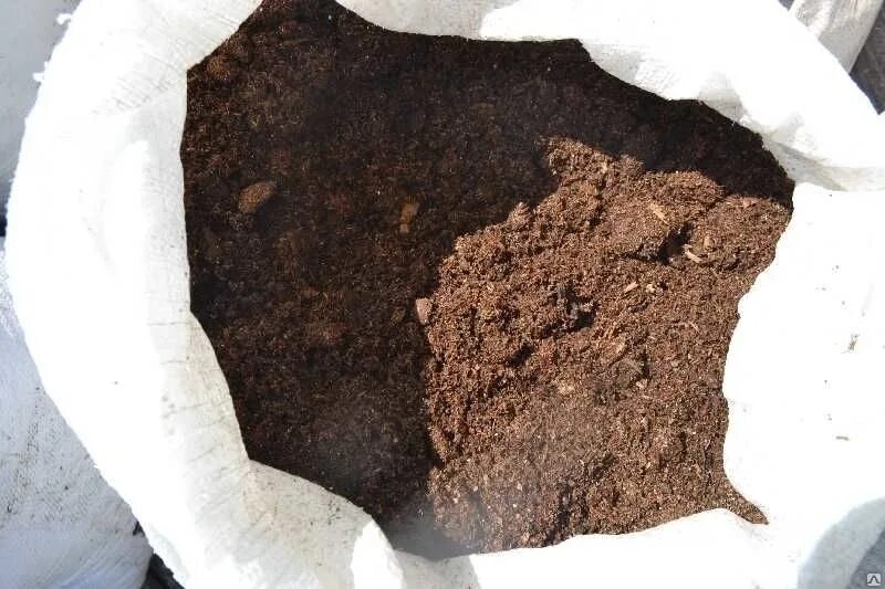 Гумус это компост. Навоз перегной. Перепревший навоз. Подстилочный навоз. Перепревший навоз.