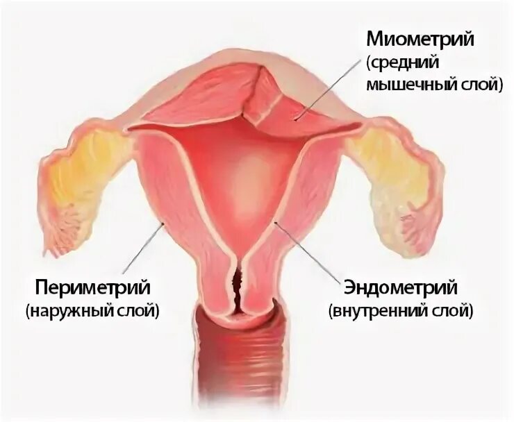 Параметрий это