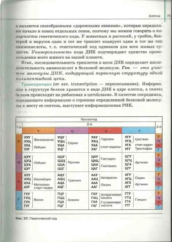 Учебник по биологии 8 класс сивоглазов читать. Биология 10-11 класс учебник. Биология 10 класс учебник Сивоглазов содержание.