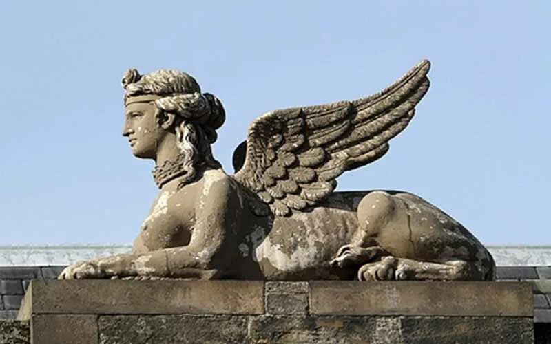 сфинкс египет фэнтези. сфинкс мифология референс. сфинкс кошка. сфинкс с крыльями. сфинкс арт мифические существа египет.