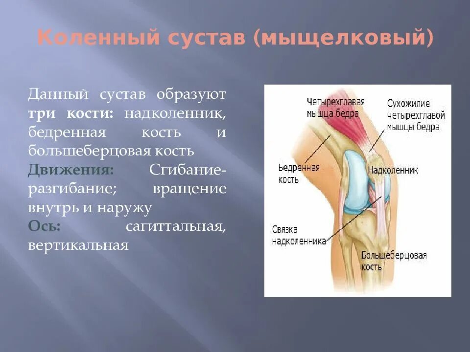 Костя образованные