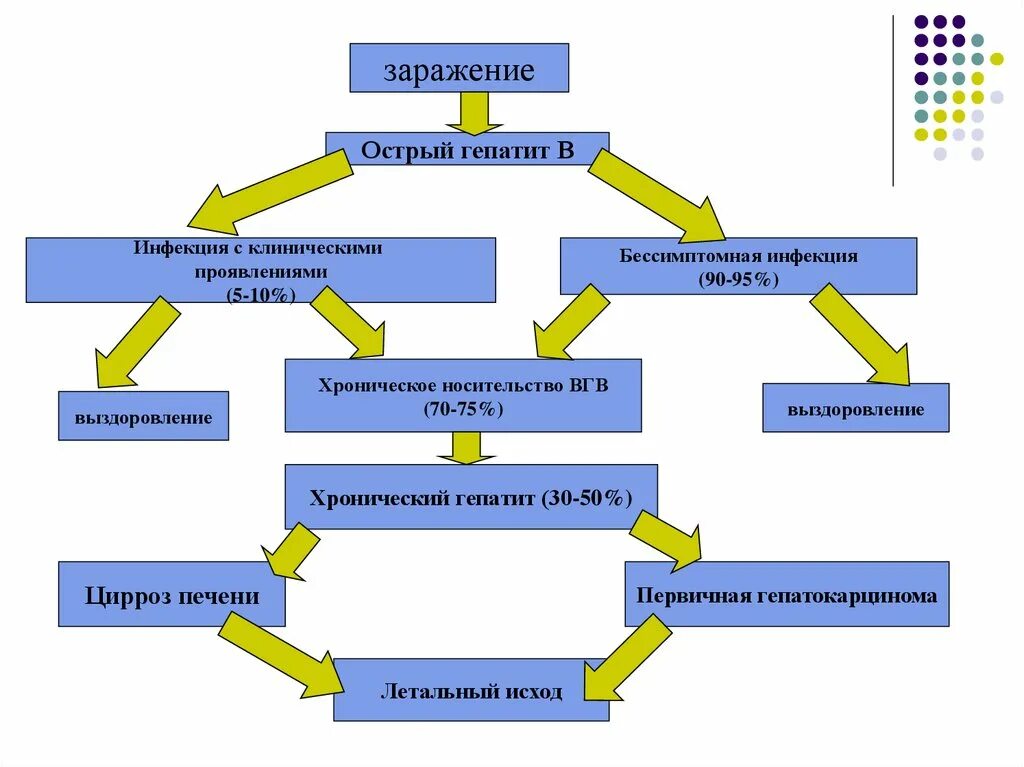 Схема гепатита в. Вирусный гепатит а патогенез схема. патогенез вируса гепатита в. патогенез гепатита а схема. патогенез хронического гепатита схема.