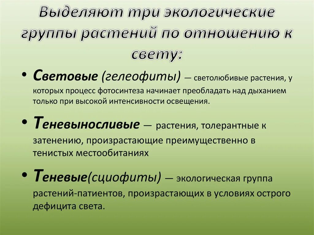 Экологические группы экология. Экологические группы растений по отношению к свету таблица. Экологические группы по отношению к свету. Экологические группы растений по отношению к свету. Экологические группы растений по отношению к освещению.