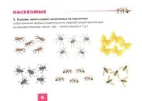 Насекомые развитие речи подготовительная