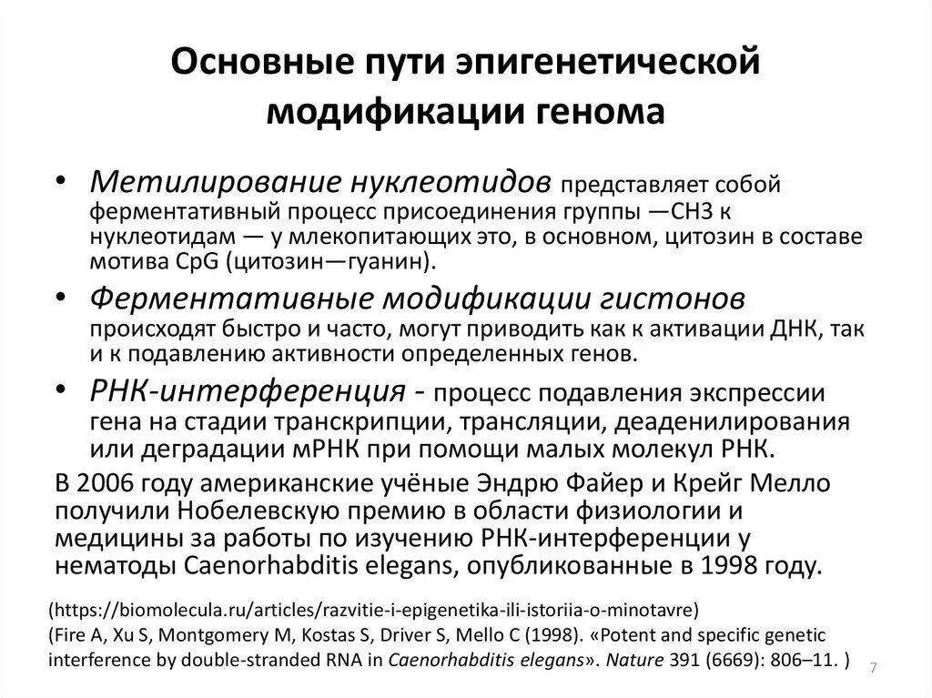 Общие представления об эпигенетике