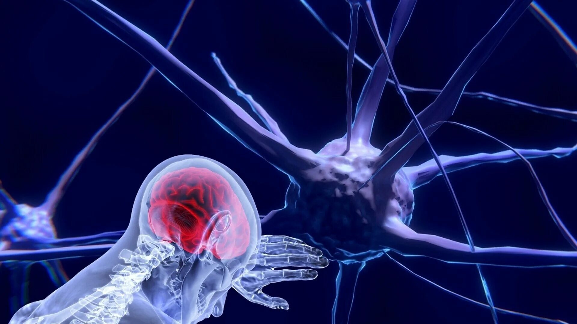 Нервная система человека Нейрон. Нейрон клетка головного мозга. Нейронные клетки головного мозга. Нейронные связи в мозге.