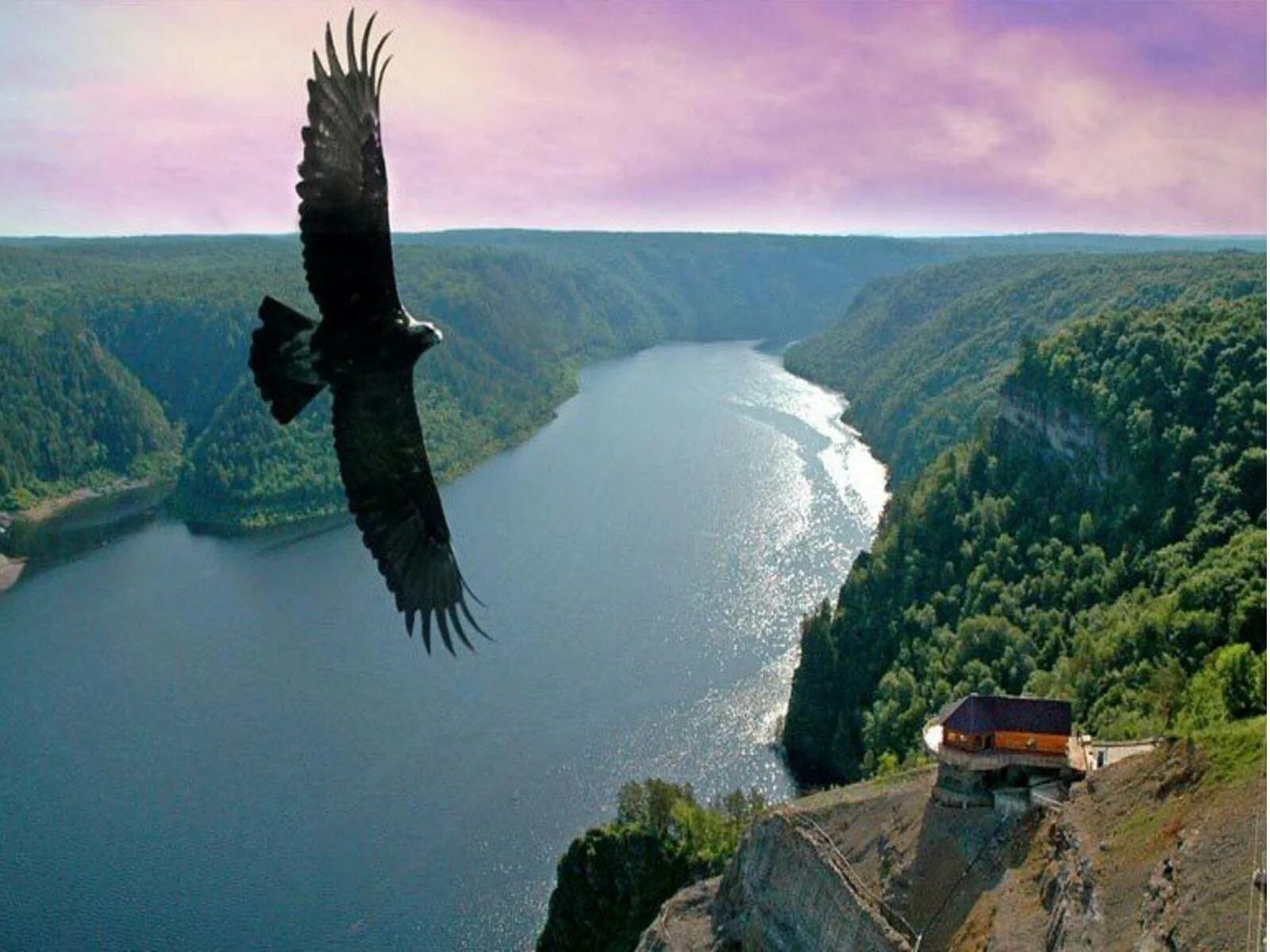 Орел в полете вид сверху. С высоты птичьего полета фразеологизм. Полет над городом. С высоты птичьего полета фразеологизм. Птицы с высоты птичьего полета.