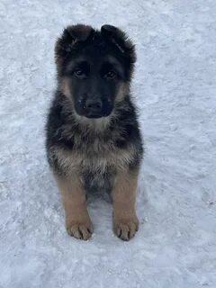 Шұлықтағы түкті әйелдің үй порносы