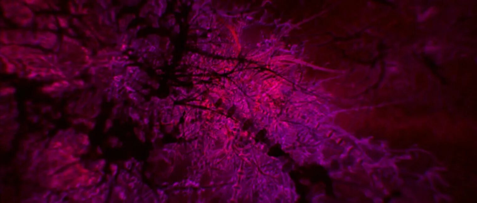 Как попасть в the void. Enter the void 2009.