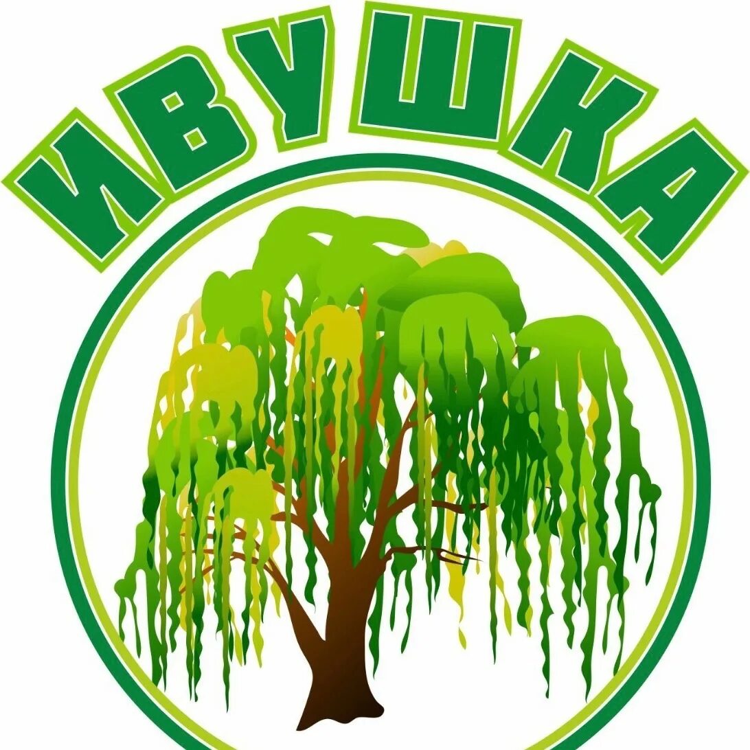 Работники фирмы ивушка являются. Логотип группы ивушка. эмблема детского сада ивушка. мбдоу &quot;ивушка&quot;. ивушка садик энем.
