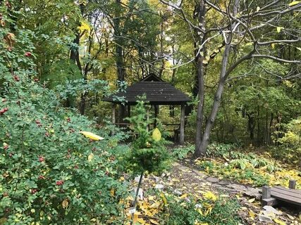 Пензенский ботанический сад