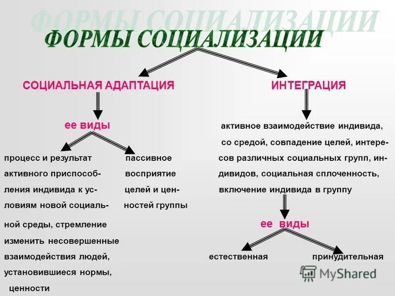 адаптация и интеграция мигрантов. фазы становления личности адаптация индивидуализация. интеграция в социализации. подходы к социализации личности. адаптации и интеграции в общество.