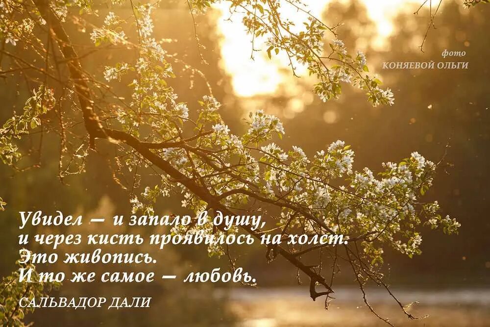 Искусство выражения
