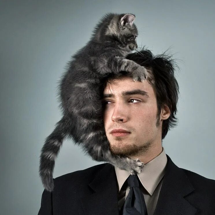 Котята миллер. Мужик котик. Фото мужик на голове с котом. Картинки котов в мужских костюмах. Турецкий мужчина с котиком.