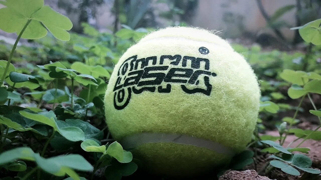 Игра с мячом и битой 6 букв. Power Plus Cricket Ball. Меню the Stars' Tennis balls Gordon. Мячик биты Мем.