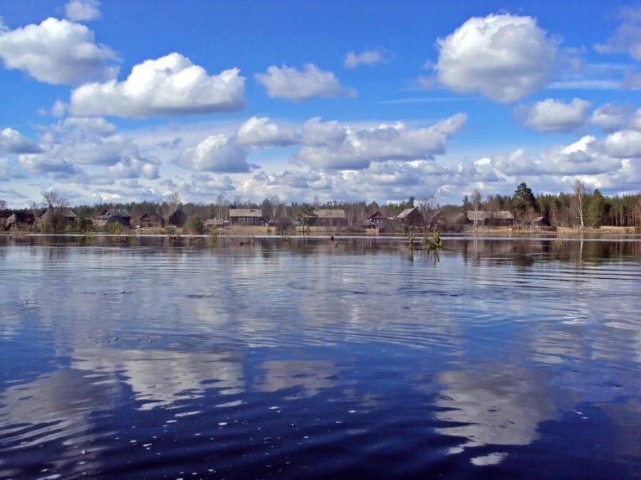 Погода сява нижегородской области на неделю. Сява река Какша. Сява Нижегородская область. Поселок Сява река. Поселок Сява Нижегородской области.