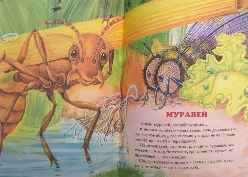 Толстой муравей сказка книга. Сорочьи сказки. Толстой а. "Сорочьи сказки". Сказ о муравье. Толстой текст муравей
