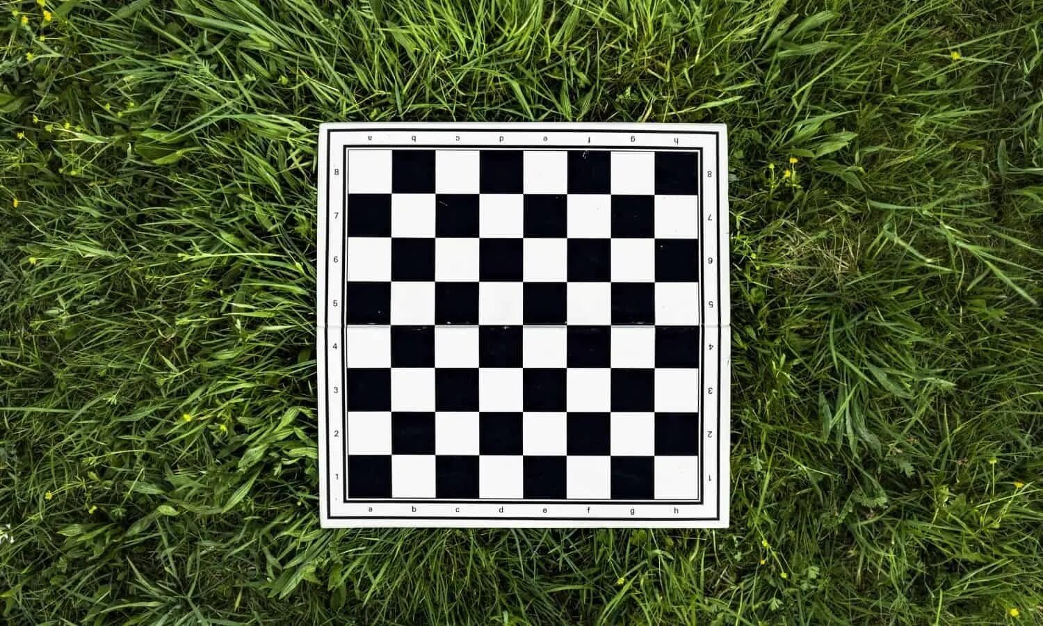 Шахматная доска Эдварда адельсона. Шахматное поле. Шахматная доска а4. Поле шахматной доски.