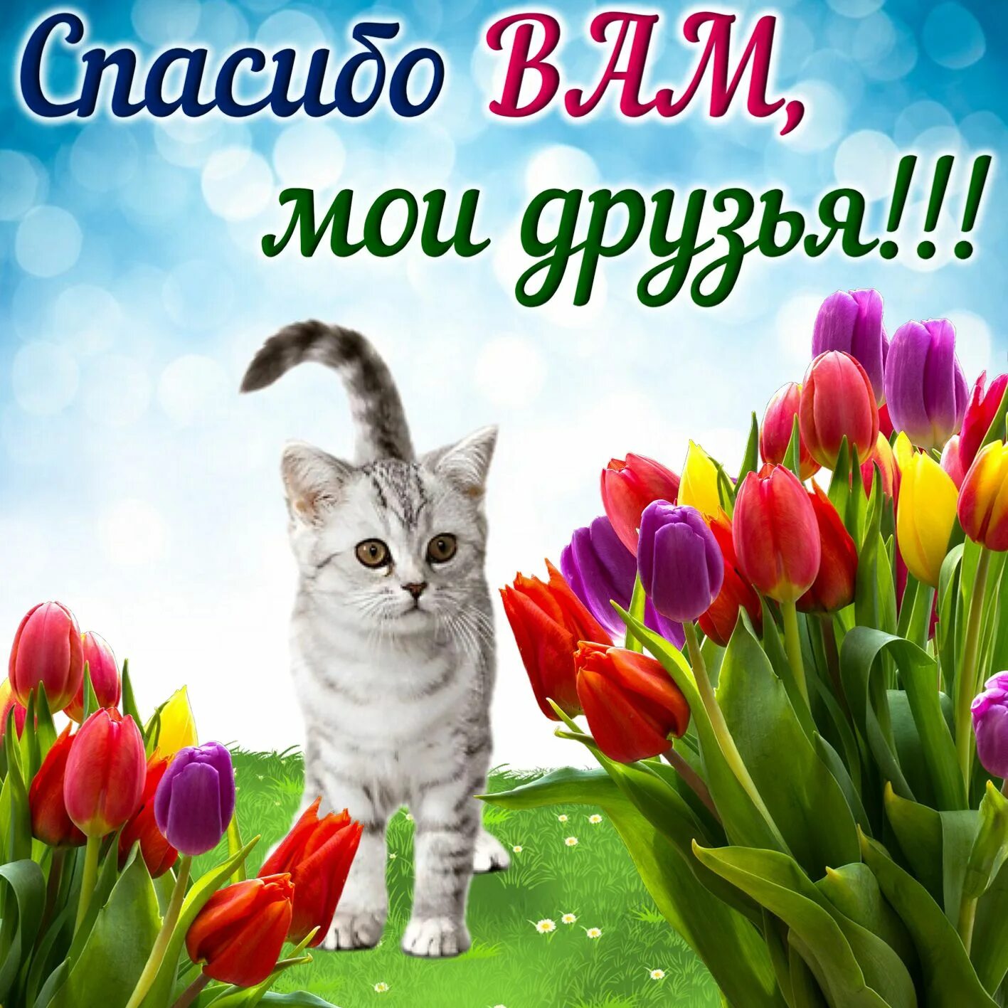 Благодарю и благодарствую