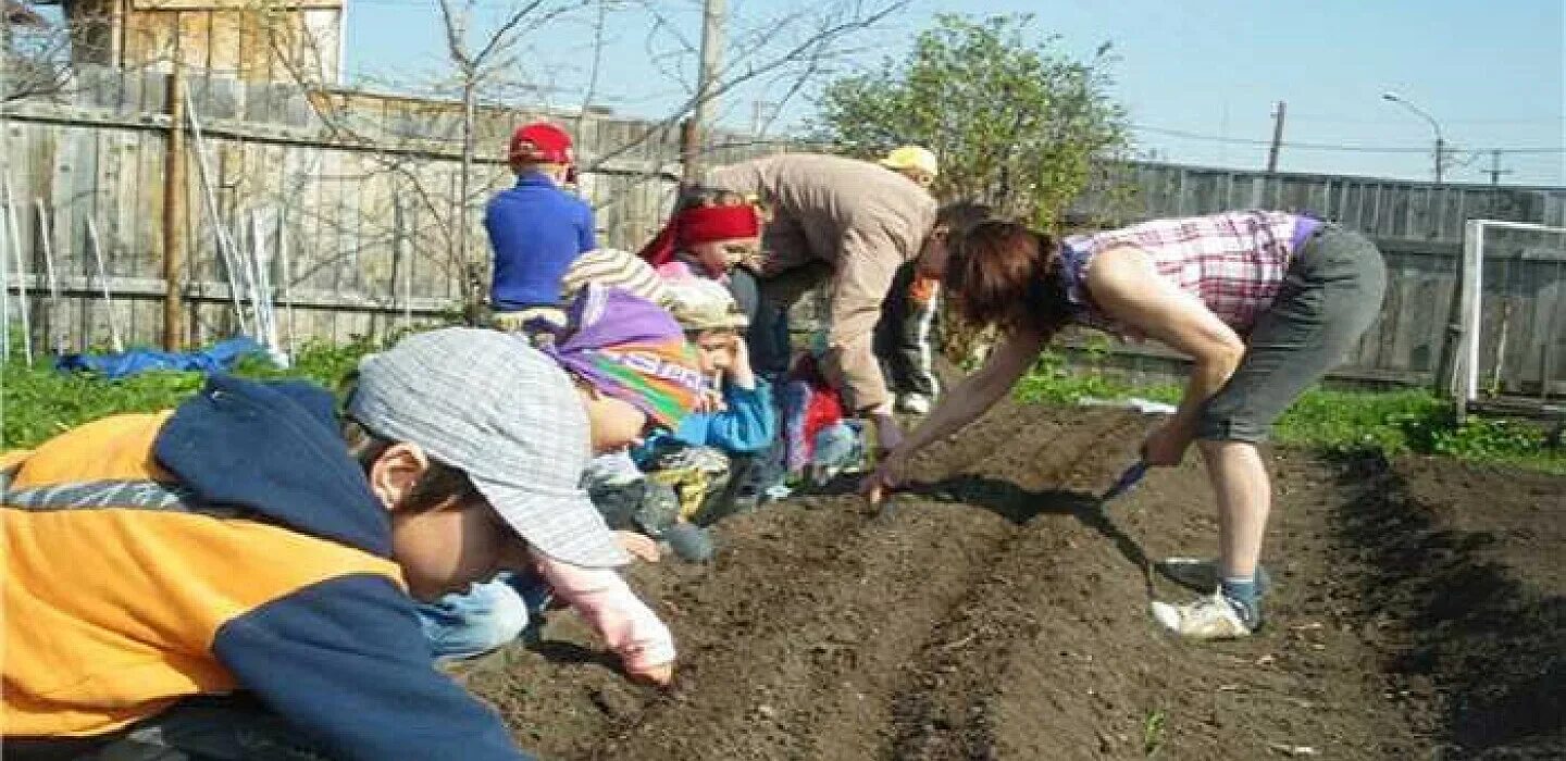 Весенние работы человека. Труд в огороде. Люди трудятся в огороде. Труд в огороде весной. Работа в огороде.