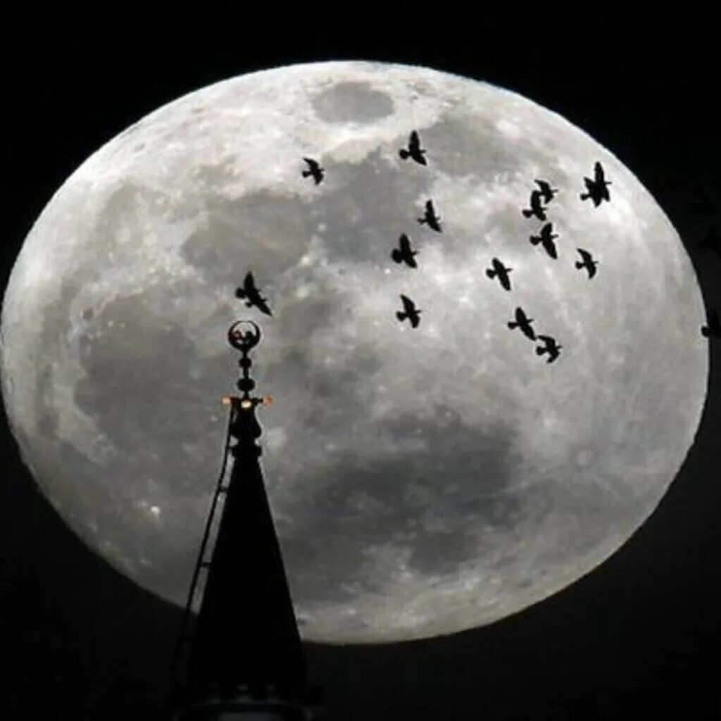 State moon. Луна. Красивая Луна. Башня на фоне Луны. Moon картинки.
