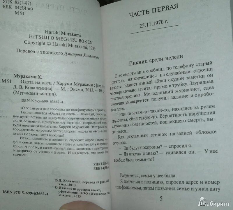 Охота на овец. Мураками охота на овец иллюстрации.