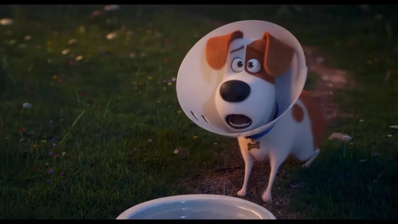 Тайная жизнь животных трейлер на русском. The Secret Life of Pets 2 2019.