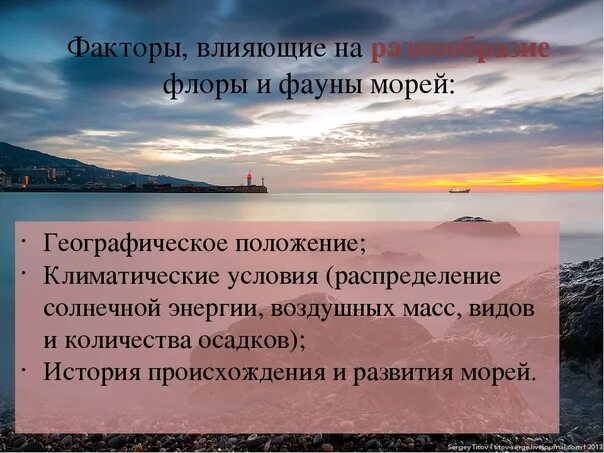 На разнообразие флоры и фауны влияют. Что влияет на разнообразие Флоры и фауны. Какие факторы влияют на разнообразие Флоры и фауны. Какие факторы влияют на разнообразие Флоры и фауны кратко. Какие факторы влияют на флору и фауну.