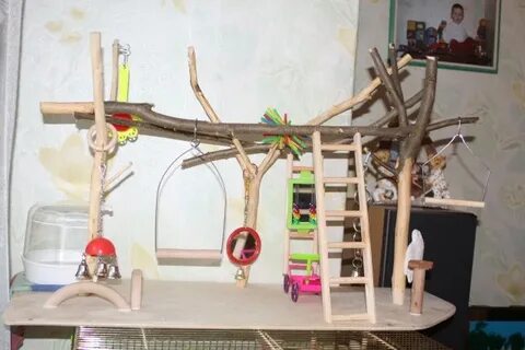 Игровая для попугая кореллы