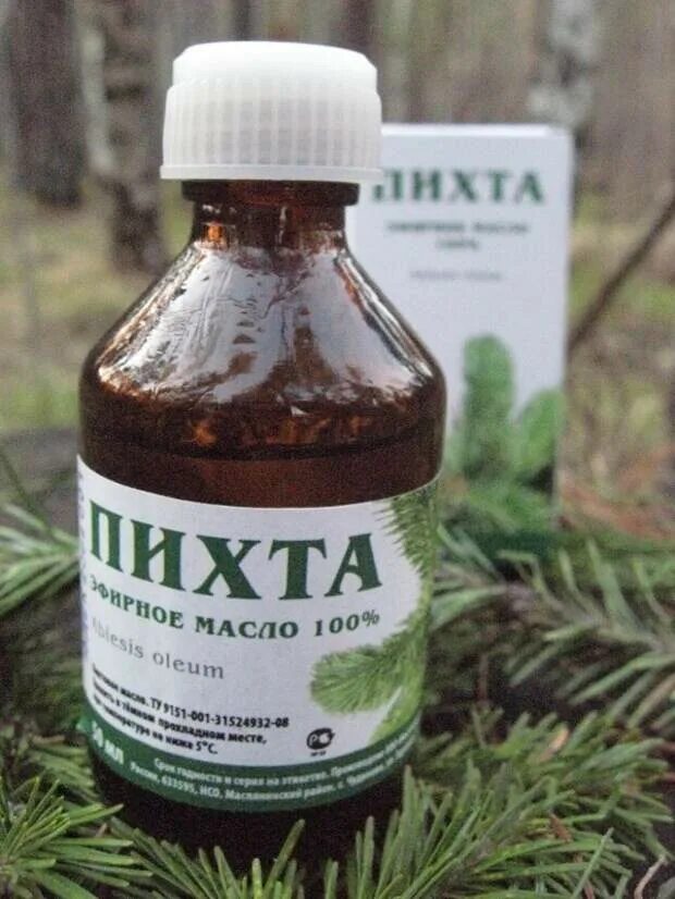 Как делают пихтовое. Пихтовое масло. масло пихты. пихтовое масло эвалар.